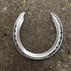 Real Lucky Horseshoe